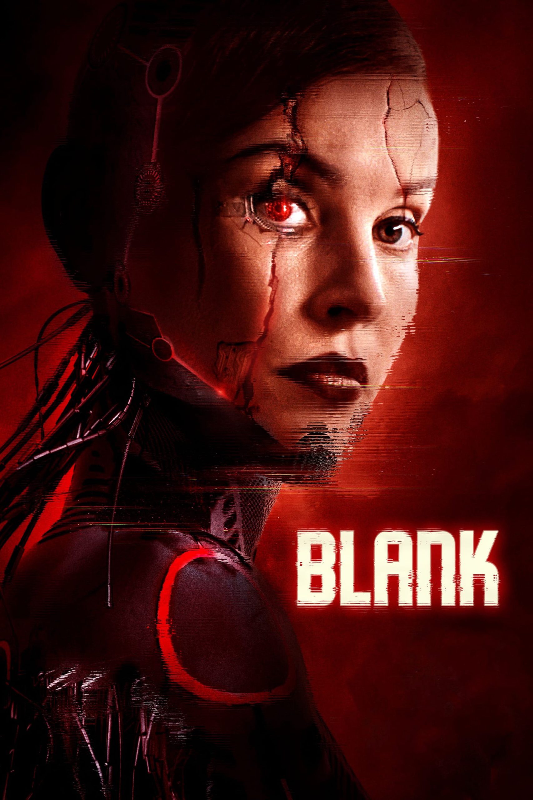 Poster phim Blank