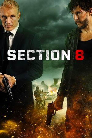 Poster phim Section 8