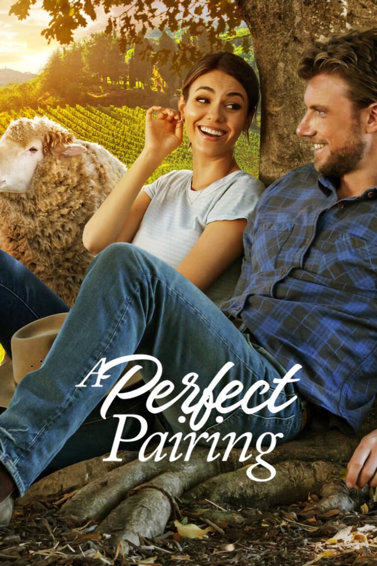 Poster phim Bộ đôi hoàn mỹ