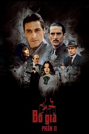 Poster phim Bố Già 2