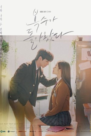 Poster phim Bok Soo Trở Về