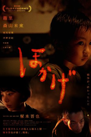 Poster phim Bóng Lửa