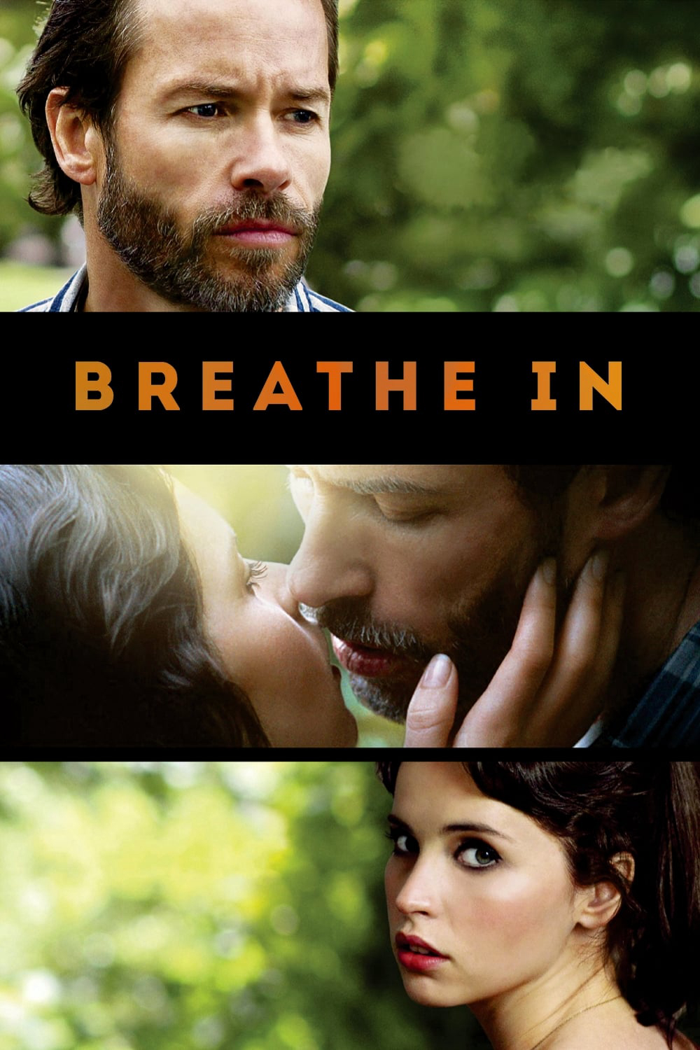 Poster phim Breathe In