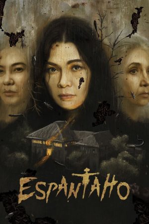 Poster phim Bù Nhìn