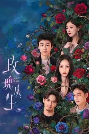 Poster phim Bụi Hoa Hồng