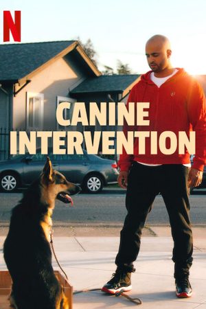 Poster phim Cali K9: Trường huấn khuyển