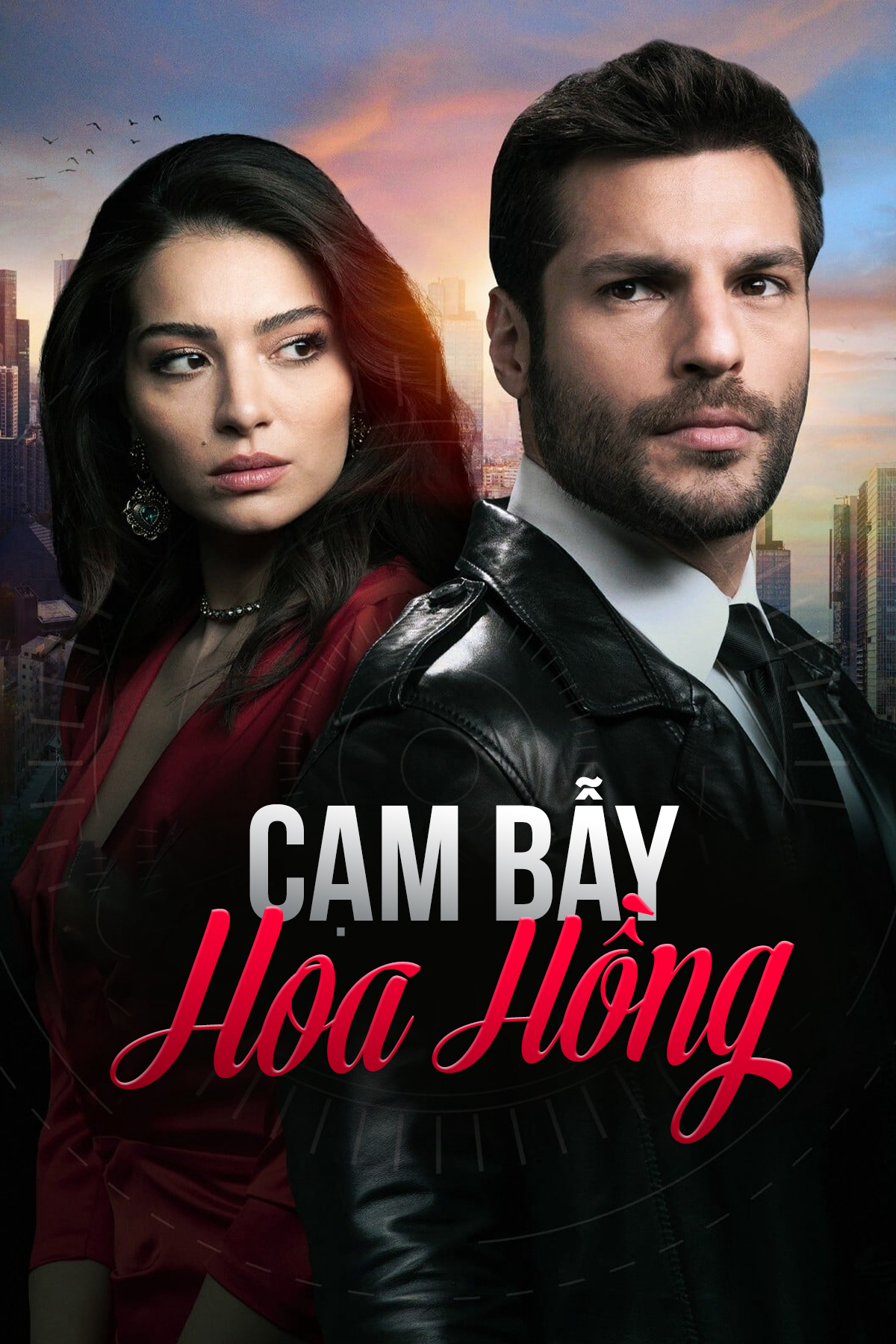 Poster phim Cạm Bẫy Hoa Hồng