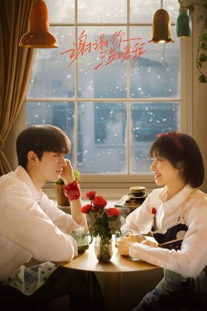 Poster phim Cảm Ơn Em Đã Sưởi Ấm Anh
