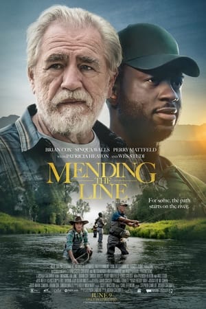 Poster phim Cần Câu Chữa Lành