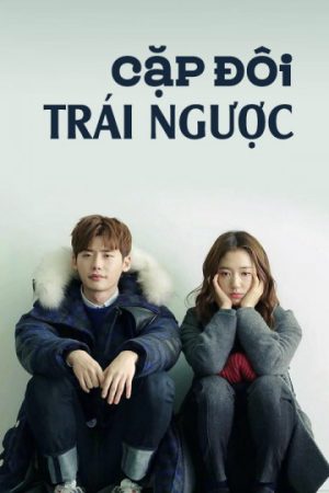 Poster phim Cô Bé Người Gỗ