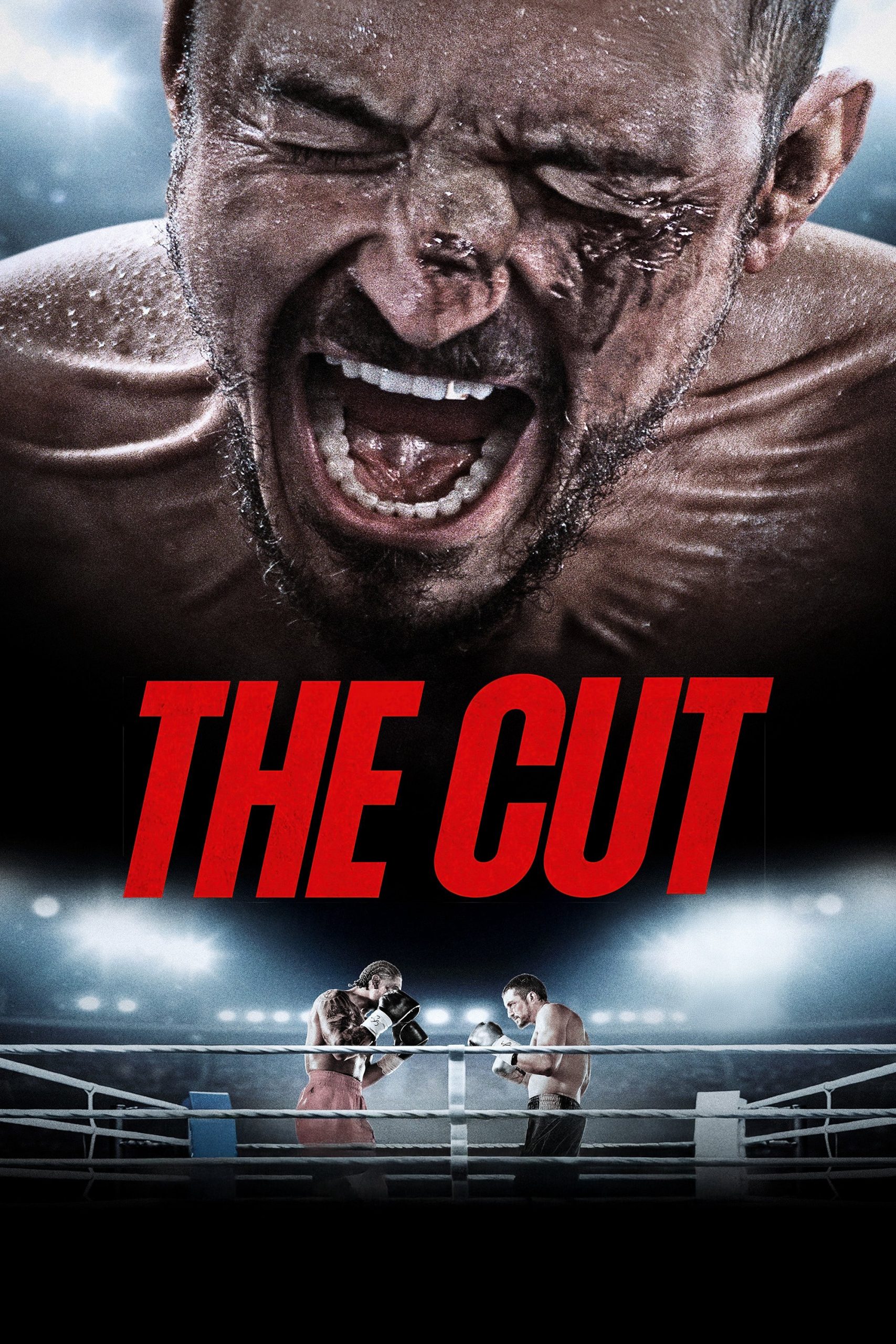 Poster phim Cắt Cân