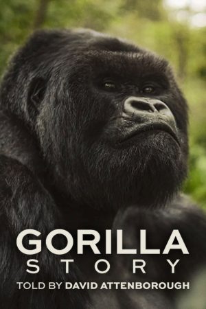 Poster phim Hành Trình Của Khỉ Đột – Qua Giọng Kể David Attenborough