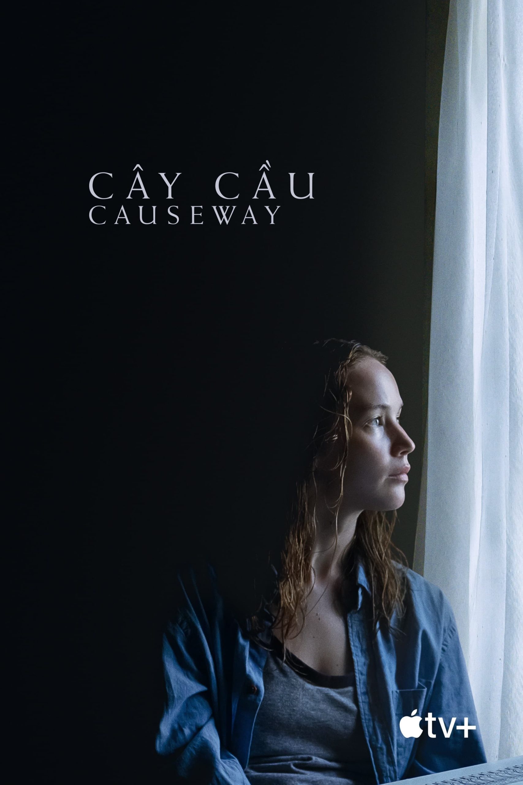 Poster phim Cây Cầu