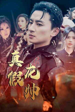 Poster phim Chân Giả Long Soái