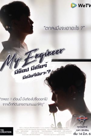 Poster phim Chàng kỹ sư của tôi