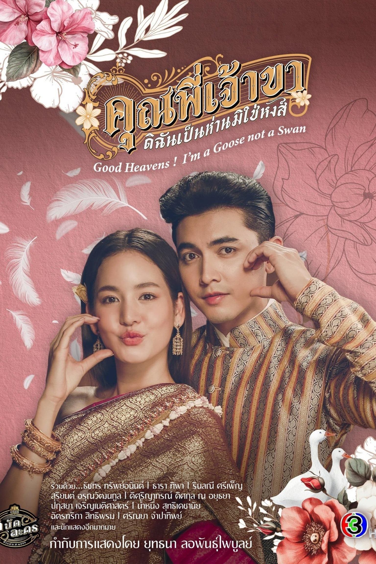 Poster phim Chàng ơi! Ta là ngỗng không phải thiên nga