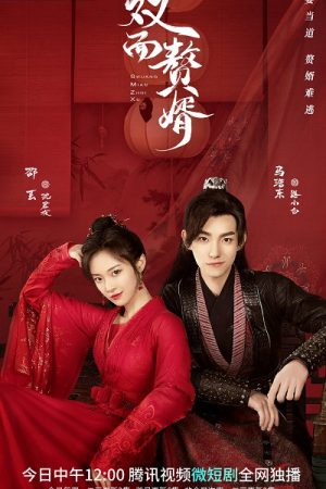 Poster phim Chàng Rể Hai Mặt