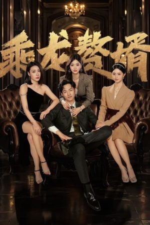 Poster phim Chàng Rể Tài Ba