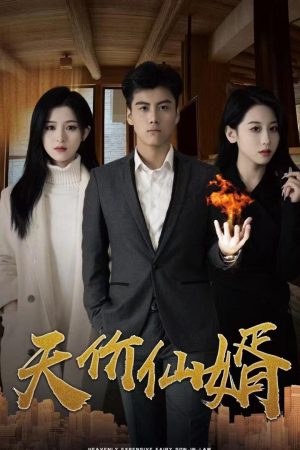 Poster phim Chàng Rể Thiên Kim