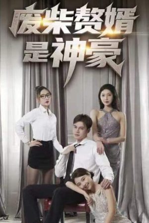 Poster phim Chàng Rể Vô Dụng Hóa Ra Là Tỷ Phú