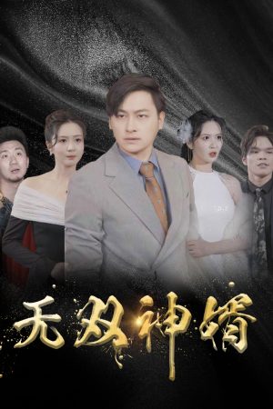Poster phim Chàng Rể Vô Song