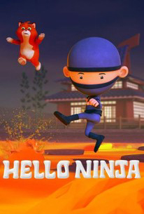 Poster phim Chào Ninja (Phần 2)