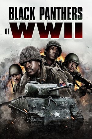 Poster phim Black Panthers of WWII