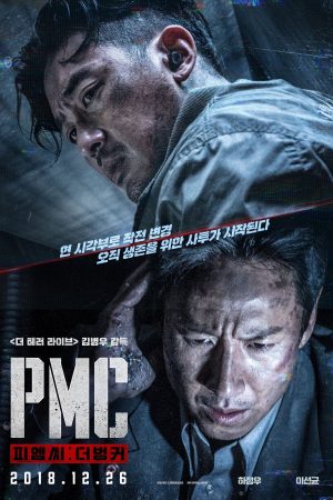 Poster phim Chiến Dịch Ngầm