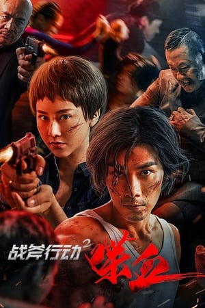 Poster phim Chiến Phủ Hành Động 2: Điệp Huyết