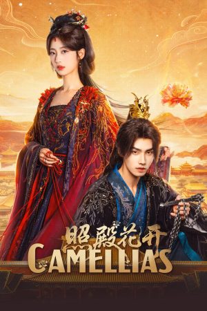 Poster phim Chiếu Điện Hoa Khai