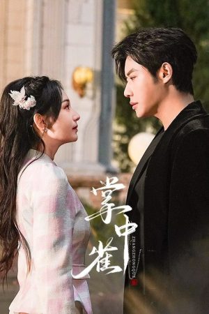 Poster phim Chim Sẻ Trong Lòng Bàn Tay