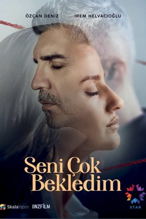 Poster phim Chờ Em Đến