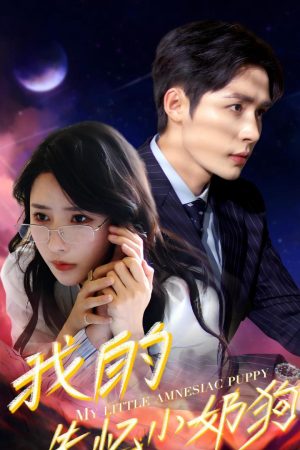 Poster phim Chồng Cún Con Mất Trí Nhớ