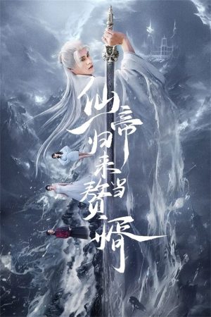 Poster phim Tiên Đế Trở Về Làm Con Rể