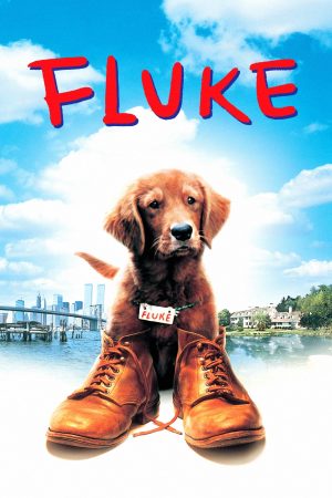 Poster phim Chú Chó Fluke