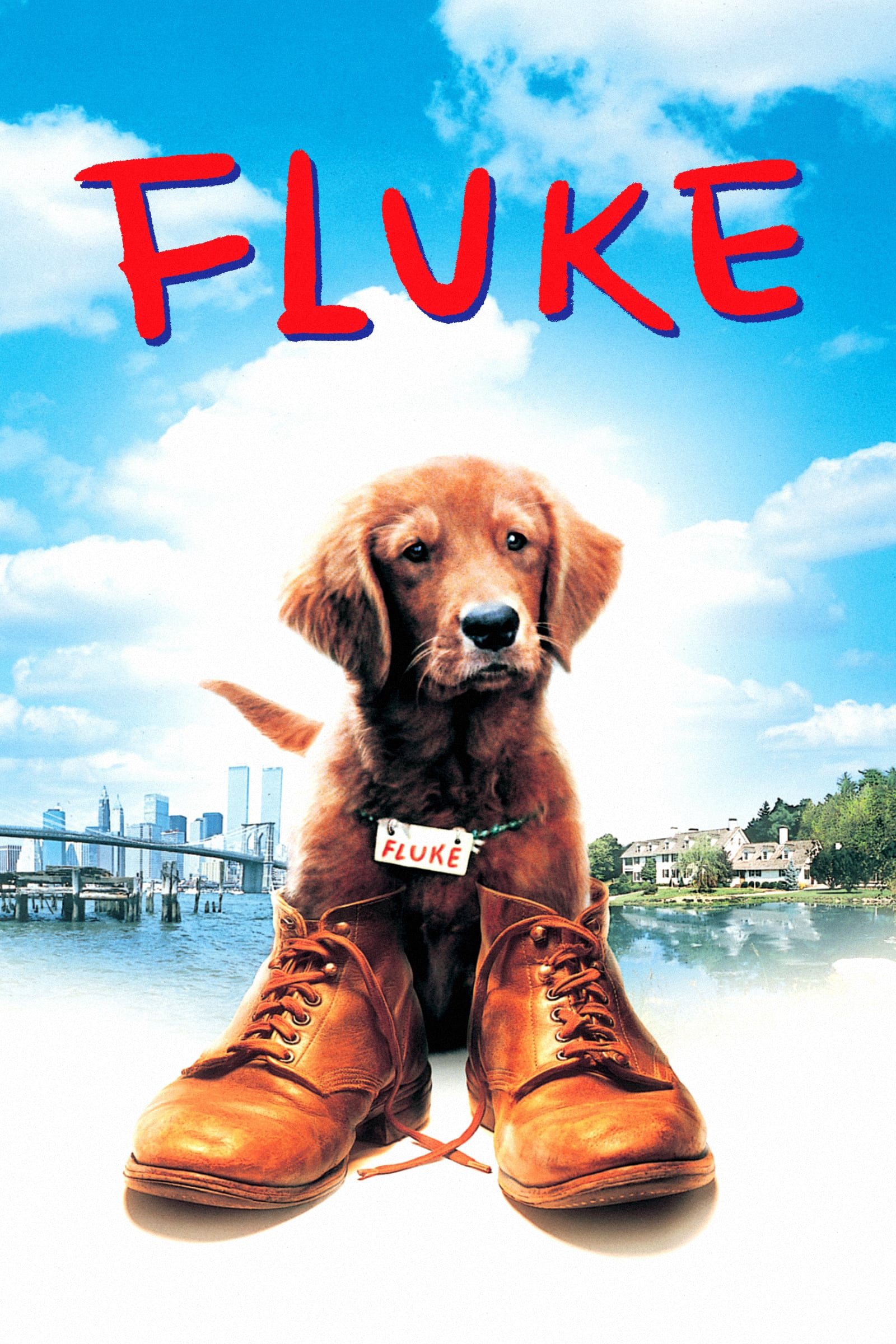 Poster phim Chú Chó Fluke
