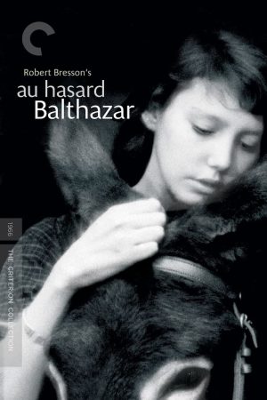 Poster phim Chú Lừa Balthazar