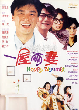 Poster phim Chúc mừng Bigamist