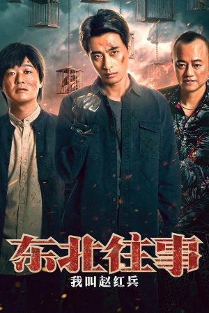 Poster phim Chuyện Đông Bắc: Tôi Tên Triệu Hồng Binh