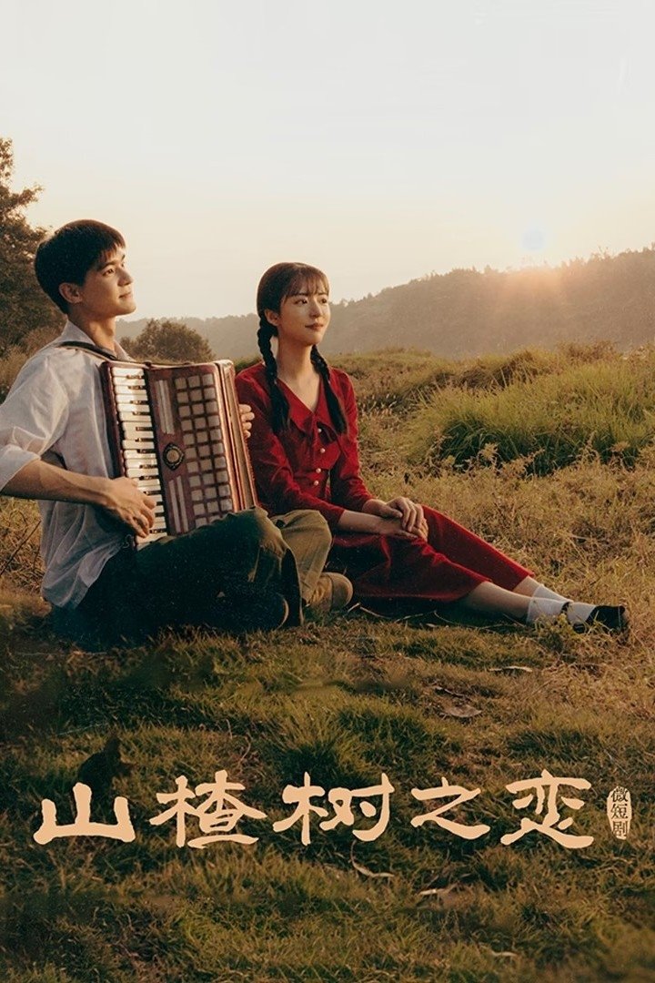 Poster phim Chuyện Tình Cây Táo Gai