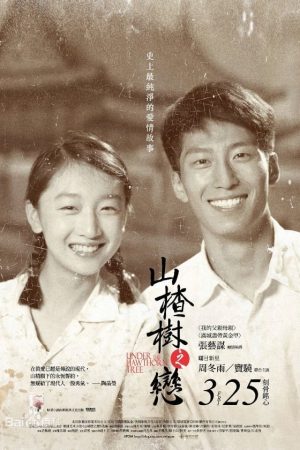 Poster phim Chuyện Tình Cây Táo Gai