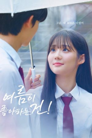 Poster phim Chuyện Tình Ngày Hạ