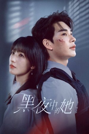 Poster phim Cô Ấy Trong Đêm Tối