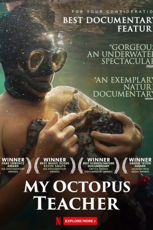 Poster phim Cô giáo bạch tuộc