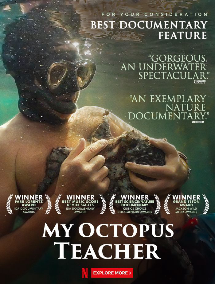 Poster phim Cô giáo bạch tuộc