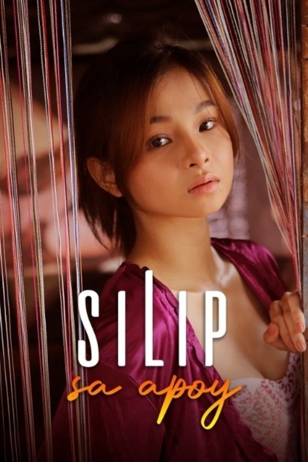 Poster phim Cô Nội Trợ Đa Tình