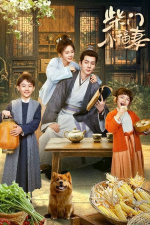 Poster phim Cô Vợ Nhỏ Nhà Họ Sài