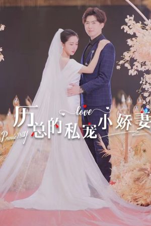 Poster phim Cô Vợ Nhỏ Được Cưng Chiều Của Tổng Giám Đốc Lệ