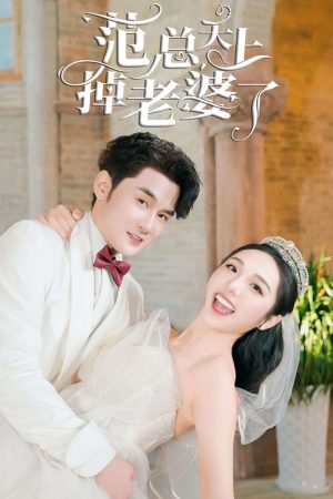 Poster phim Cô Vợ Trên Trời Rơi Xuống Của Phạm Tổng
