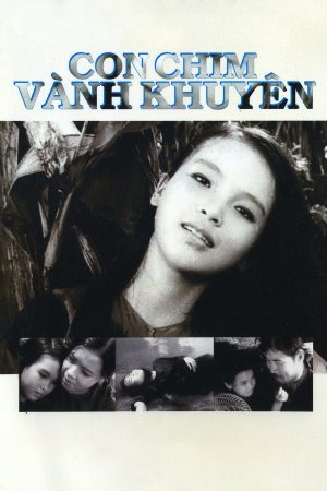 Poster phim Con Chim Vành Khuyên